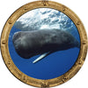 PortScape Sperm Whale | Ocean Porthole Window Wall Decal