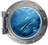 PortScape Whale Shark 1 | Ocean Porthole Window Wall Decal