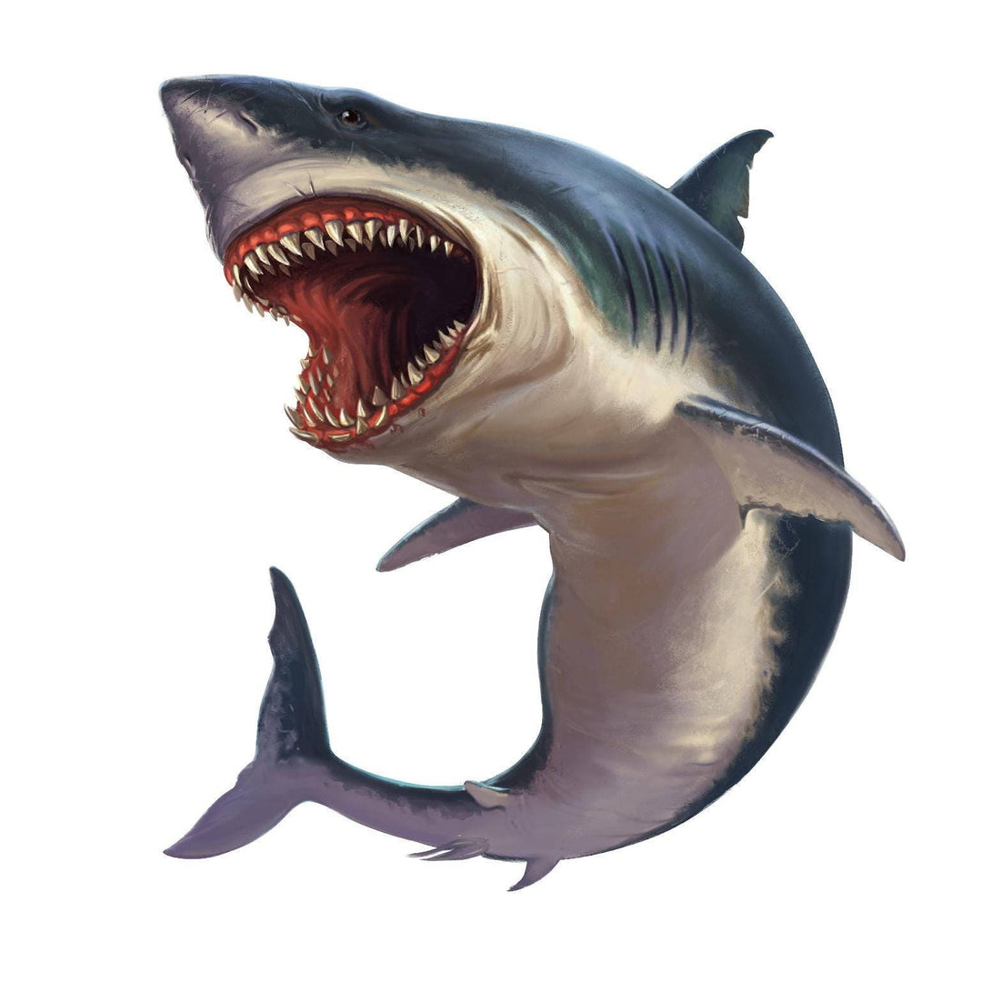 Shark Week, Shark, Shark Wall Decal, Megalodon Shark, Under The Sea, Nursery Decor, Ocean, Animal, Home Decor