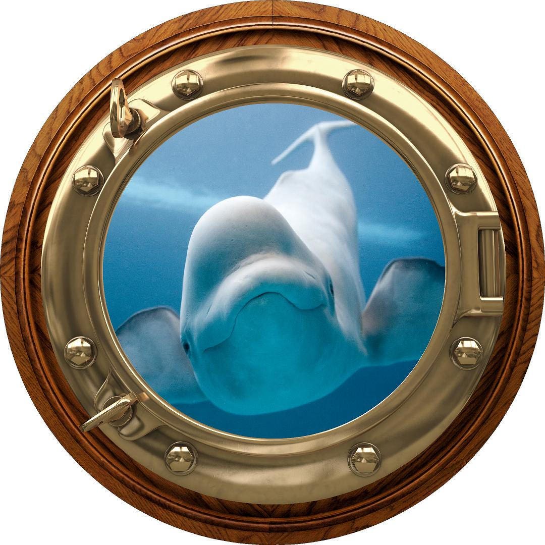 PortScape Beluga Whale | Ocean Porthole Window Wall Decal