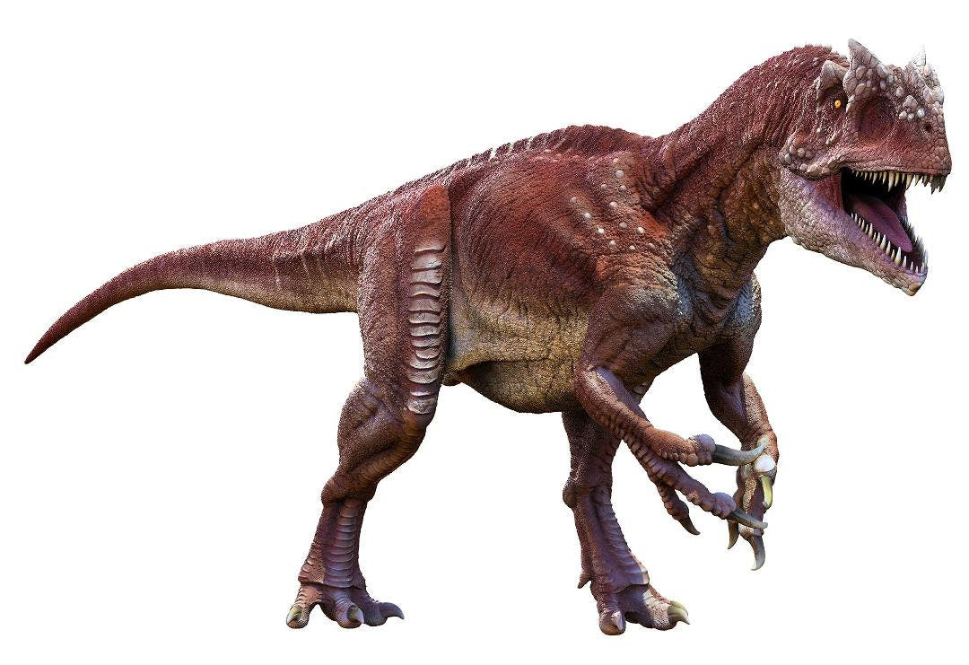 Allosaurus Dinosaur Wall Decal