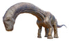 Alamosaurus 3D Dinosaur Wall Decal