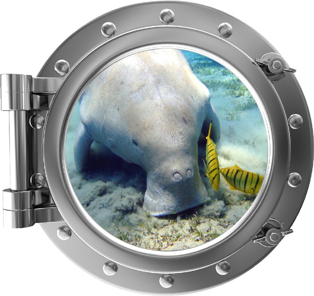 PortScape Dugong | Ocean Porthole Window Wall Decal