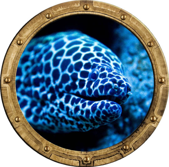 PortScape Electric Eel 1 | Ocean Porthole Window Wall Decal