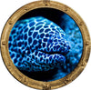 PortScape Electric Eel 1 | Ocean Porthole Window Wall Decal