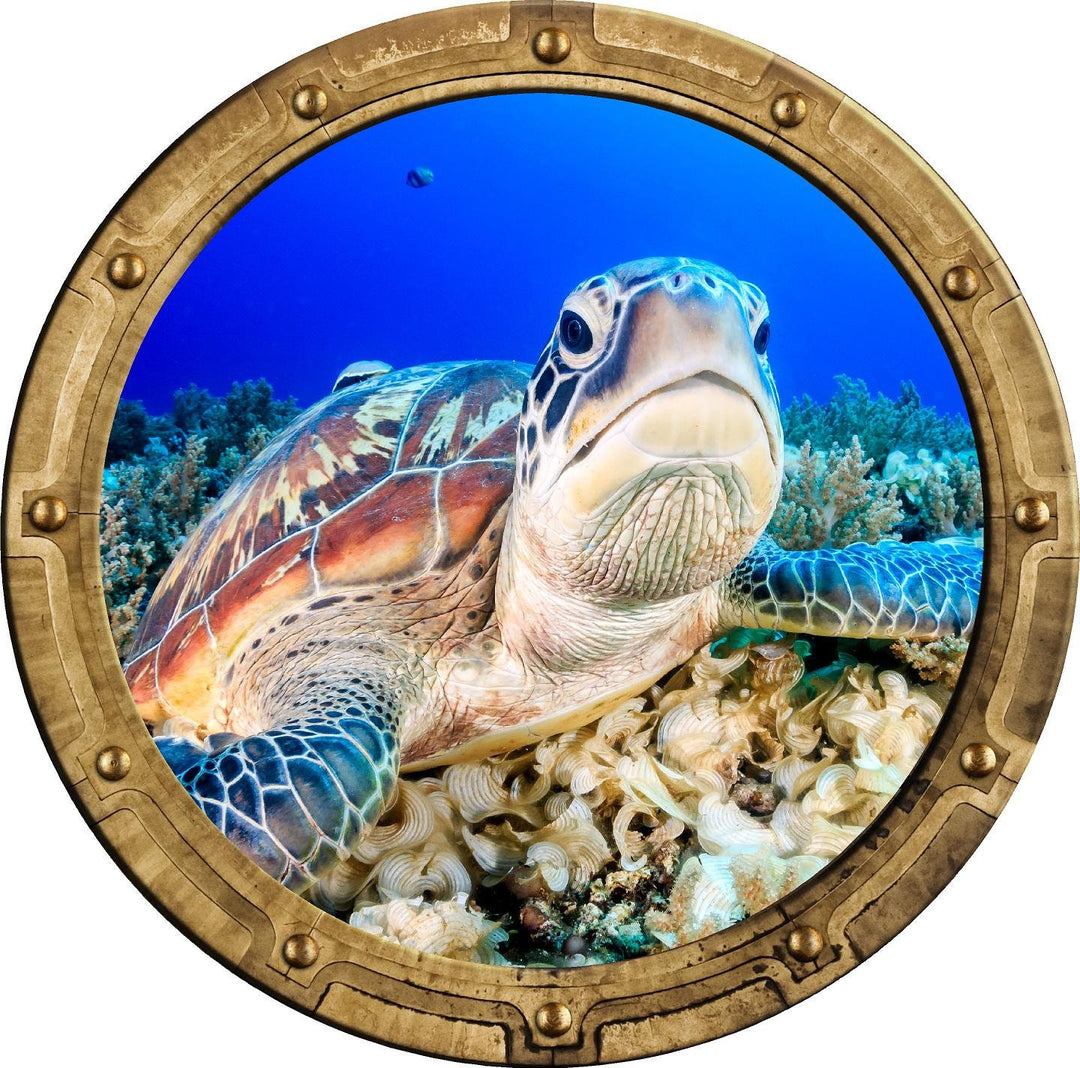 PortScape Grumpy Sea Turtle | Ocean Porthole Window Wall Decal