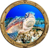PortScape Grumpy Sea Turtle | Ocean Porthole Window Wall Decal