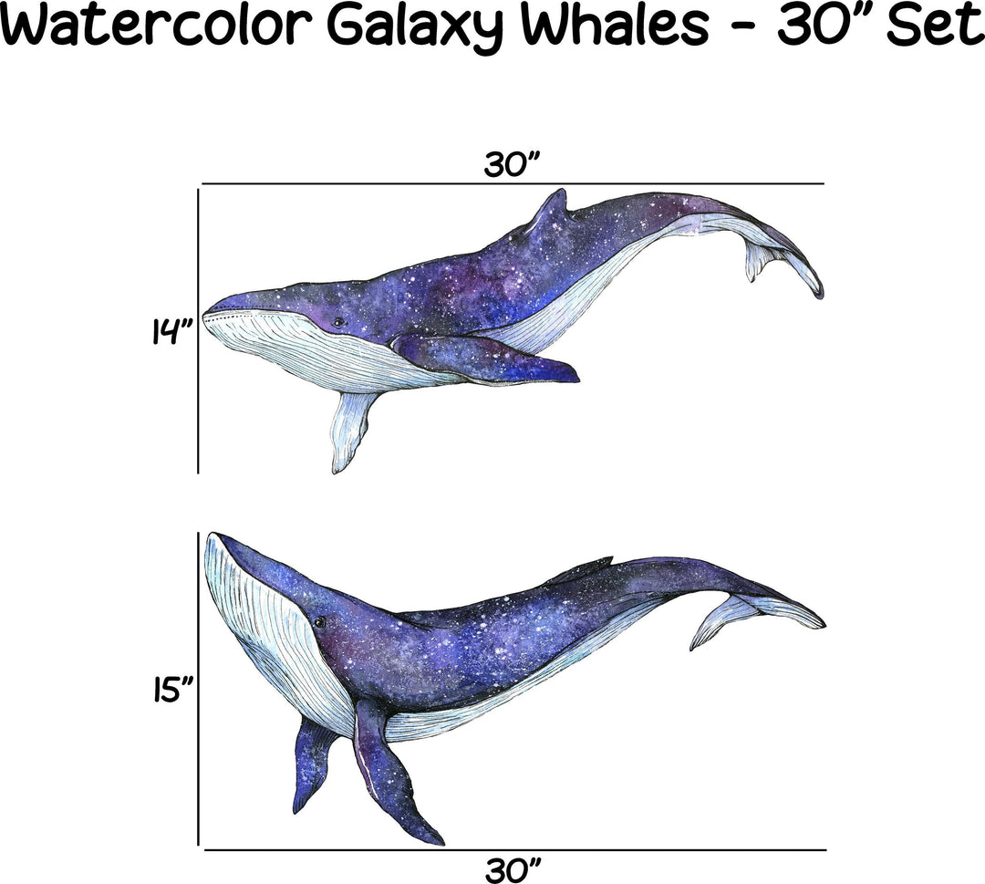 Watercolor Galaxy Whales Wall Decal Set of 2