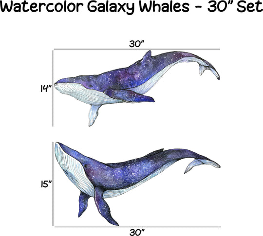 Watercolor Galaxy Whales Wall Decal Set of 2