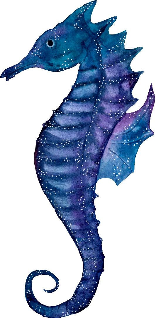 Watercolor Galaxy Seahorse Wall Decal