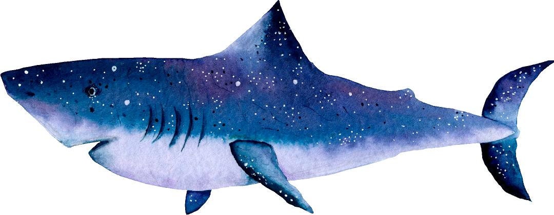 Watercolor Galaxy Shark Wall Decal