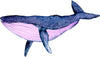 Watercolor Galaxy Humpback Whale Wall Decal