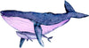 Watercolor Galaxy Humpback Whale with Baby Wall Decal