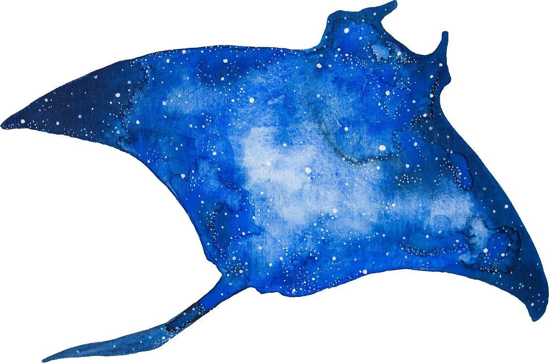 Watercolor Galaxy Blue Manta Ray Wall Decal