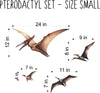 Watercolor Dinosaur Pterodactyl Wall Decal Set of 4