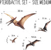 Watercolor Dinosaur Pterodactyl Wall Decal Set of 4