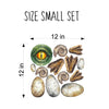 Dinosaur Accessories Wall Decal Set