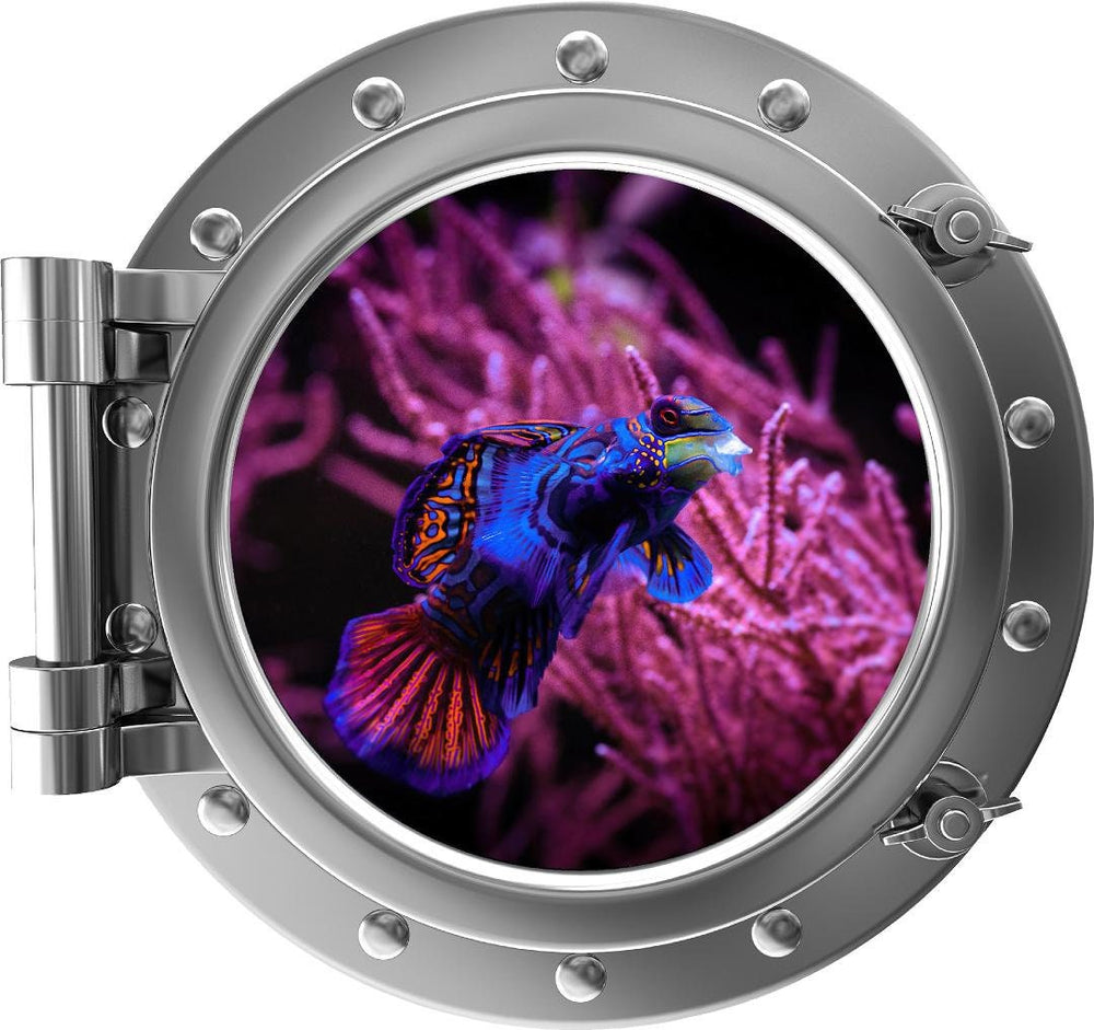 PortScape Mandarinfish 1 | Ocean Porthole Window Wall Decal