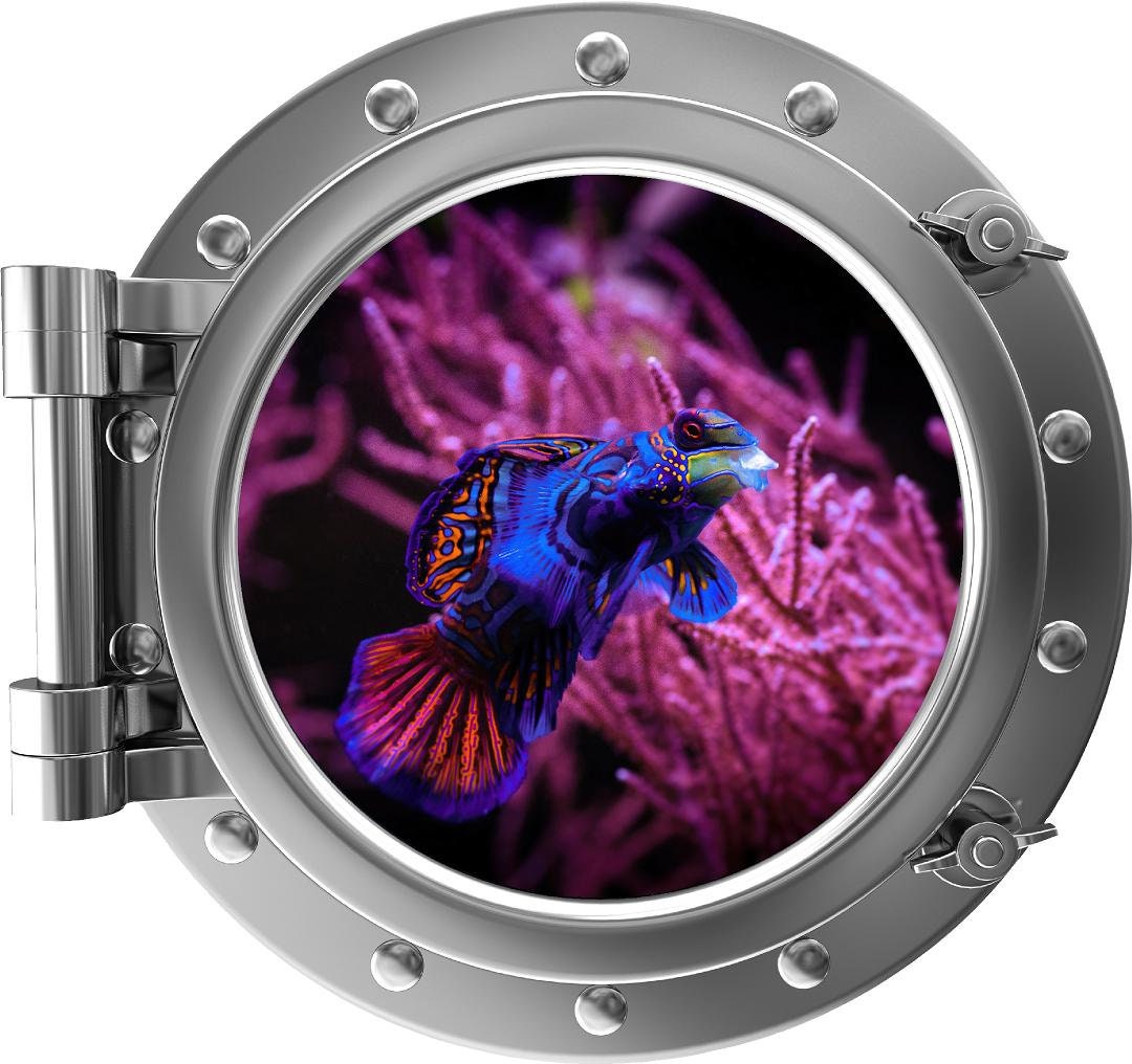 PortScape Mandarinfish 1 | Ocean Porthole Window Wall Decal