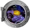 PortScape Yellow Boxfish | Ocean Porthole Window Wall Decal
