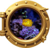 PortScape Yellow Boxfish | Ocean Porthole Window Wall Decal