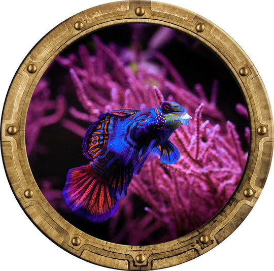 PortScape Mandarinfish 1 | Ocean Porthole Window Wall Decal