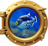 PortScape Clown Triggerfish | Ocean Porthole Window Wall Decal